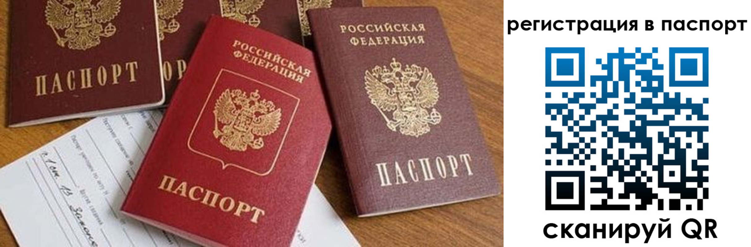 прописка в Чудово